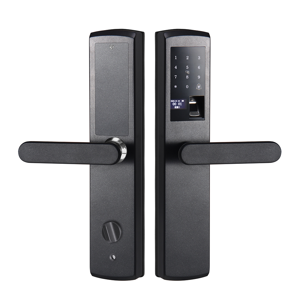 倍爾盾D119雅黑經(jīng)典款（下插芯）