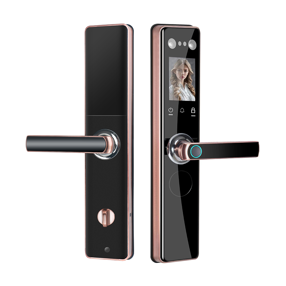 倍爾盾D580刷臉（王力特能鎖專配）